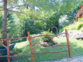 Andrew Salkeld's white pine log house